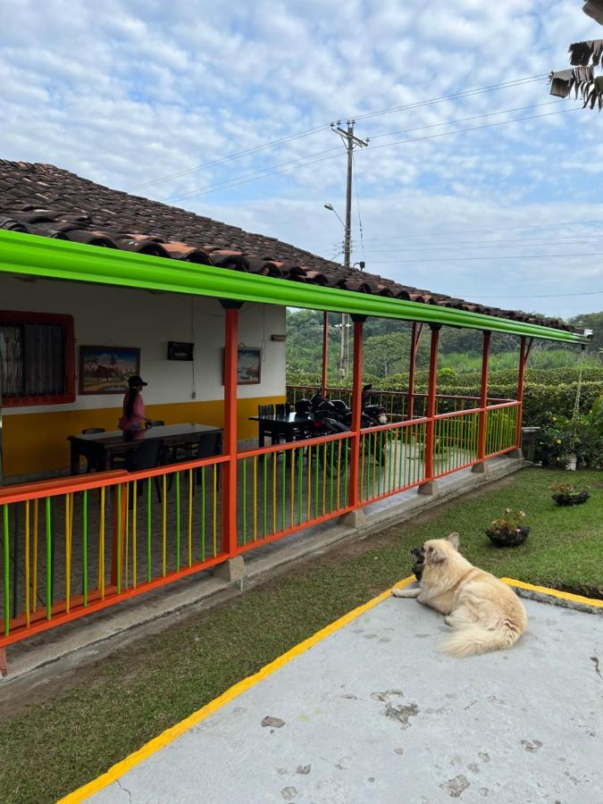 Alojamiento Campestre Hawaii 몬테네그로 외부 사진